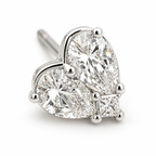 Heart with Detachable Jacket